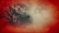 لویه پښتونخوا په ټي وي
