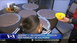 Dëbimet krijojnë pasiguri për fermerët dhe punonjësit e tyre në Kaliforni 