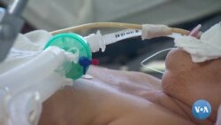 Vashington choyxonasi: vaksina, koronavirusning yangi turi va turli mish-mishlar haqida