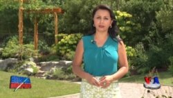 Yahudiy-musulmon hamjihatligi