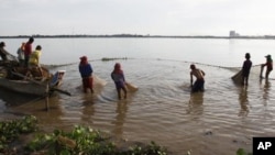 Cambodian fishermen move their fishing net from the Mekong River as they catch fish on the outskirts of Phnom Penh, file photo.