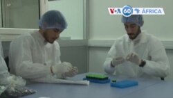 Manchetes africanas: Antigo Presidente do gana, John Dramani Mahama, vence eleições