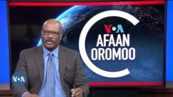 Tamsaasa Guyaadhaa Guyyaa