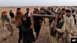 یوناما وايي‌ملکي تلفات د تېر کال په پرتله یوه سلنه زیاته شوې ده