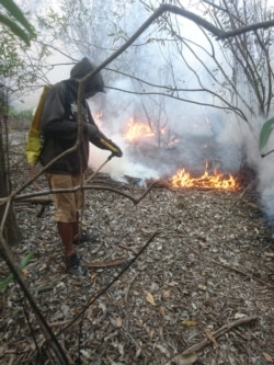 Lahan terbakar musim kemarau di Kalimantan (foto courtesy: Hermanto).