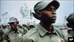 Abatsaha be Zanu PF, ama Youth Brigade.