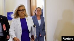 Liz Cheyni Vakillar palatasiga 2016-yildan beri a'zo