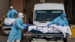 COVID-19 လူနာတွေကုရင်း ကိုယ်တိုင်ကူးစက်ခံရတဲ့ နယူးယောက်က မြန်မာဆရာဝန်တဦးရဲ့ အတွေ့အကြုံ