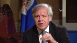 La OEA no apoyará “chanchadas antidemocráticas”