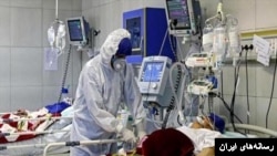 کرونا کامیاران کردستان 