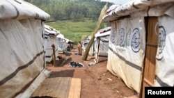 Makeshift shelters are seen at an unofficial camp for internally displaced people, who are victims of ethnic violence in Iga Barriere, Ituri province, in the eastern Democratic Republic of Congo, June 24, 2019.