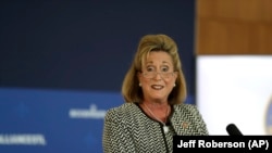 Ann Wagner, Zastupnica u Kongresu SAD