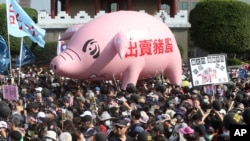 People hold a pig model with a slogan "Betraying pig farmers" during a protest in Taipei, Taiwan, Sunday, Nov. 22. 2020. Thousands of people marched in the streets demanding the reversal of a decision to permit U.S. pork imports to Taiwan. (AP Photo)