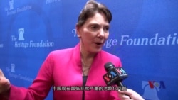 瑞洁：中国继续执行计划生育的真正原因是以控制人口为由对社会进行掌控