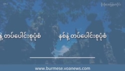 ဗဟိုချုပ်ကိုင်မှုစနစ်နဲ့ တပ်ပေါင်းစုပုံစံ I ဦးအောင်ခင်ရဲ့ မြန်မာ့အရေးသုံးသပ်ချက်