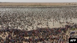 This aerial view shows people fishing during the Sanke mon collective fishing rite in San, Sego Region on June 6, 2024. (Photo by OUSMANE MAKAVELI / AFP)