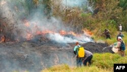 Voluntarios y bomberos combaten incendios forestales en Rurrunabaque, Bolivia, el 12 de noviembre de 2023.