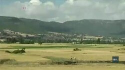 Із посудомийника в мільйонери: історія успіху емігранта-біженця. Відео