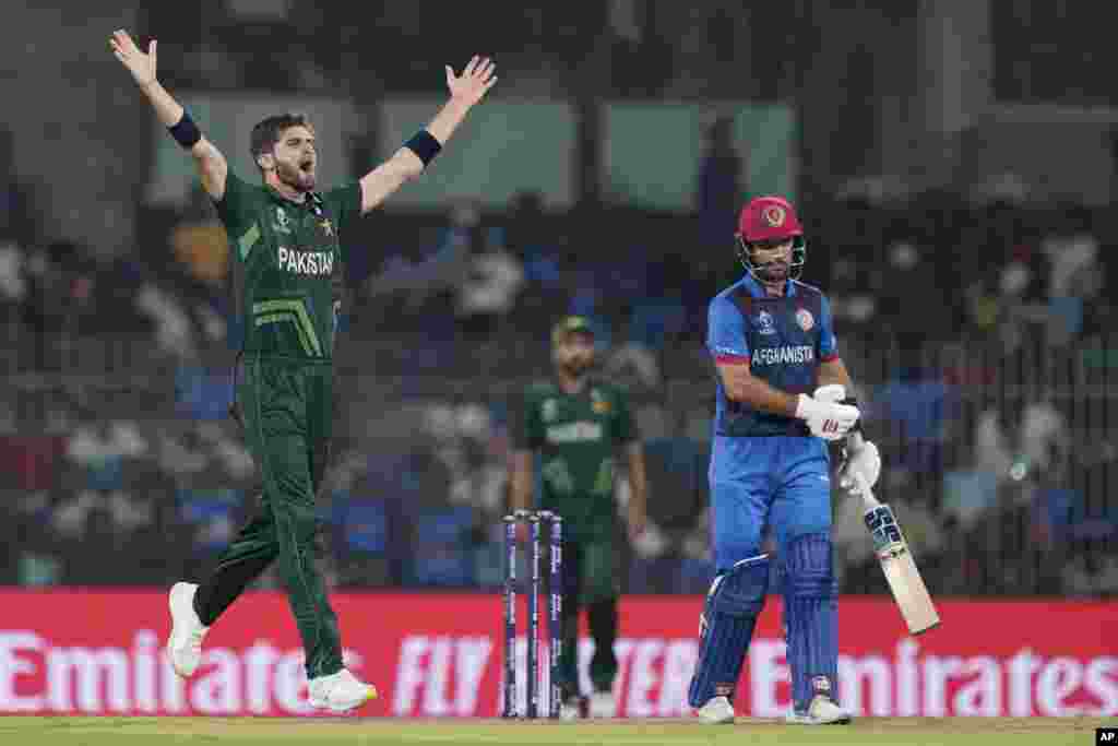 در دیدار امروزی شاهین آفریدی یک وکت گرفت&nbsp;