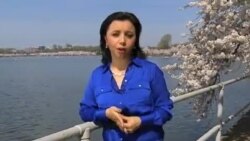 Iqtisod va muhojirlar/Sequestration & Immigration