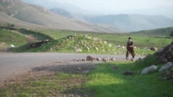 Binêrîn Kalemerê 90 Salî Çawa Gênc Maye