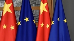 歐盟評估四項關鍵技術 去風險方案有待制定