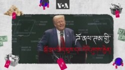 ཊམ་གྱི་སྒོ་ཁྲལ་སྲིད་ཇུས་དང་དེའི་ཤུགས་རྐྱེན།