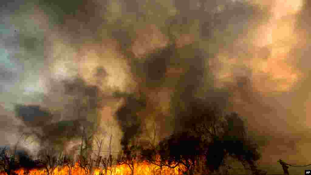 Jami'an Kashe Gobara na Jihar&nbsp;California Na Kokarin Shawo kan&nbsp;Mummunar Wutar Dajin