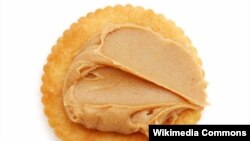 La mantequila de maní es uno de los alimentos que deben mantenerse alejados de los niños pequeños, pero un nuevo estudio, sugiere que esto puede no ser cierto.