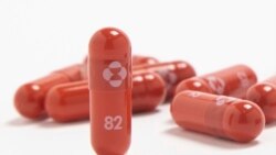 輝瑞新冠口服藥獲批後FDA又批准默克新冠病毒口服藥