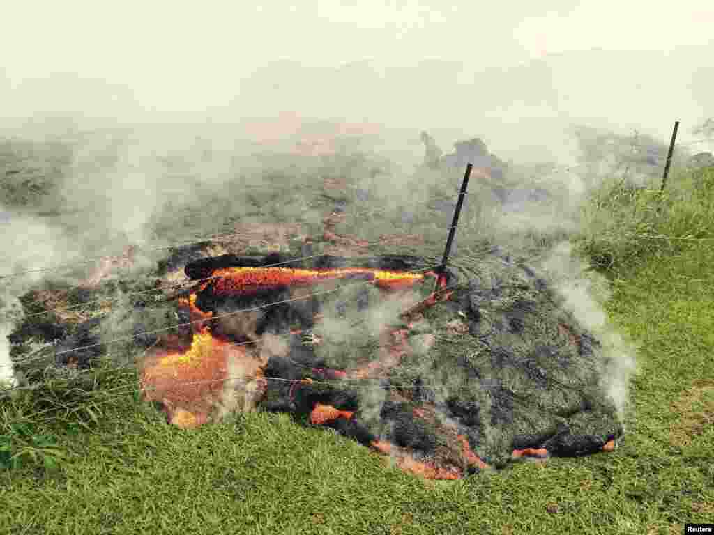 The lava flow from the Kilauea Volcano is seen advancing across a pasture between the Pahoa cemetery and Apa'a Street, in this U.S. Geological Survey image taken near the village of Pahoa, Hawaii, Oct. 25, 2014. 