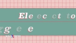 Giải mã sự khác biệt giữa phiếu bầu phổ thông và Đại cử tri đoàn 