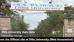 በዲላ ዩኒቨርሲቲ 