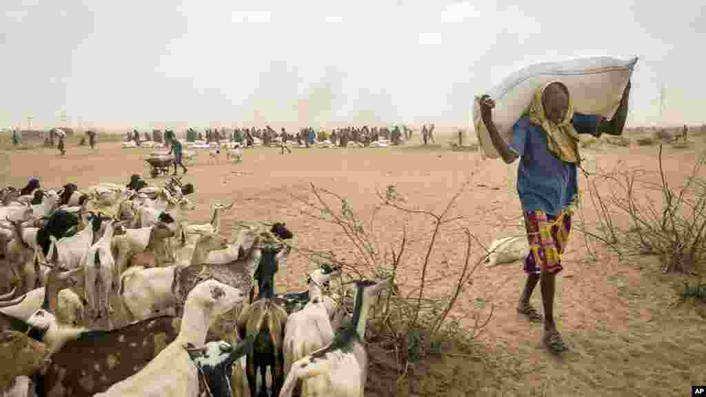 የአውሮፓ ኮሚሽን በኤል ኒኞ ምክኒያት ለተከሰተው ድርቅ ምላሽ &euro;122.5 ሚልዮን እንደሚሰጥ ይፋ አደረገ