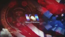 Live Talk: The Connection