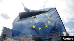 Arhiva - Demonstrant drži zastavu Evropske unije ispred zgrade Evropskog parlamenta u Strazburu, Francuska, 26. marta 2019.