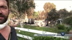 Лісові пожежі в Каліфорнії знищили будинки зірок Голлівуду. Відео