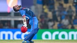 در مورد کرکت چه می‌دانید؟