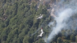 Amazônia: Pressão impede a exploração mineral na Reserva Nacional do Cobre e Associados