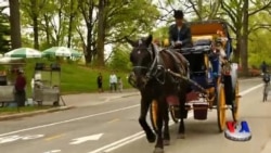 Yulduz Usmonova bilan Nyu-Yorkda suhbat (to'liq)