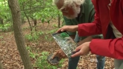 Forget Butterfly Nets; Today's Naturalists Capture Specimens on Phones