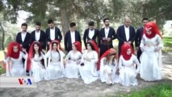 Heşt Bûk û Zava li Helebce Bihev re Dikevin Hêlîna Zêrîn