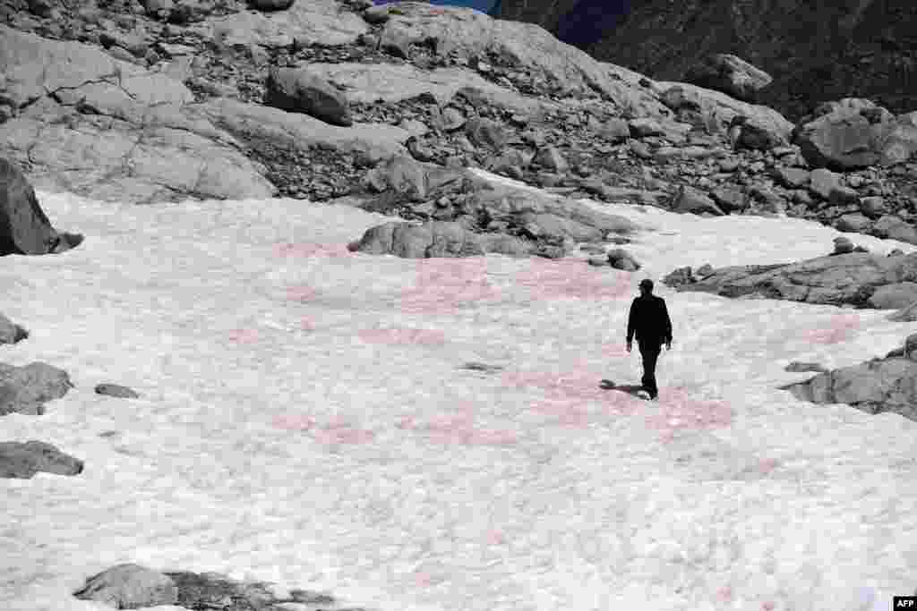 A man walking on pink colored snow, supposedly due to the presence of colonies of algae of the species Ancylonela nordenskioeldii from Greenland,&nbsp; at the Presena glacier near Pellizzano, Italy, July 4, 2020.