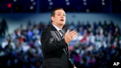 Respublikachilardan prezidentlikka da'vogar Ted Kruz