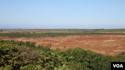 រូបឯកសារ៖ ដី​វាល​ ក្រោយ​ត្រូវ​បានកាប់​ឆ្ការ ​សម្រាប់​ដាំ​ដំណាំ​ នៅ​ក្នុង​ខេត្ត​រតនគិរី​ កាល​ពី​ថ្ងៃ​ទី​៣​ ខែ​ធ្នូ​ ឆ្នាំ​២០១៥។​ (នូវ​ ពៅ​លក្ខិណា​/VOA)