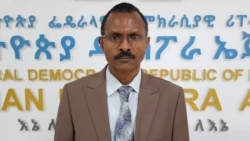 ከዳያስፖራው የተሳበሳበው ገንዘብ ወደ 9 ቢሊዮን ዶላር ደርሷል