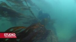 Dio kalifornijske obale zaštićen od bušenja nafte i plina