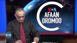 Tamsaasa Guyaadhaa Guyyaa