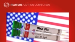 အမေရိကန်မှာ ကြက်ငှက်တုပ်ကွေး အရေး ဖြေရှင်းရေး ဒေါ်လာ ၁ ဘီလျံသုံးမယ် 