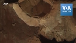 Au musée du Quai Branly, 26 oeuvres présentées avant leur restitution au Bénin